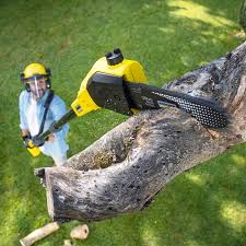 Mcmillin, WA Tree Removal and Landscaping Services Company